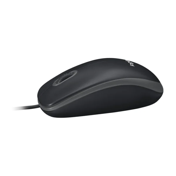 Logitech B100