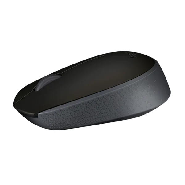 Logitech M171