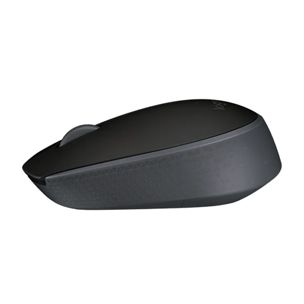 Logitech M171